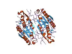1kmc: Crystal Structure of the Caspase-7 / XIAP-BIR2 Complex