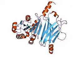 1ksg: Complex of Arl2 and PDE delta, Crystal Form 1