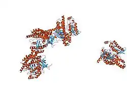 1lb1: Crystal Structure of the Dbl and Pleckstrin homology domains of Dbs in complex with RhoA