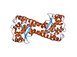 1luv: CATALYTIC AND STRUCTURAL EFFECTS OF AMINO-ACID SUBSTITUTION AT HIS 30 IN HUMAN MANGANESE SUPEROXIDE DISMUTASE: INSERTION OF VAL CGAMMA INTO THE SUBSTRATE ACCESS CHANNEL