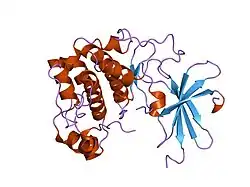 1mry: crystal structure of an inactive akt2 kinase domain