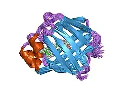 1mx8: Two homologous rat cellular retinol-binding proteins differ in local structure and flexibility