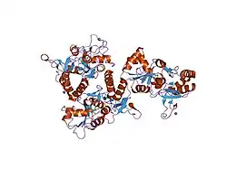 1my4: crystal structure of glutamate receptor ligand-binding core in complex with iodo-willardiine in the Zn crystal form