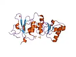 1n5o: Structural consequences of a cancer-causing BRCA1-BRCT missense mutation