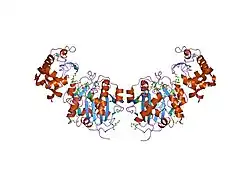 1nhe: Crystal structure of Lactose synthase complex with UDP