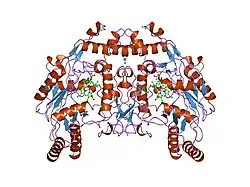 1nse: BOVINE ENDOTHELIAL NITRIC OXIDE SYNTHASE