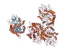 1nwt: Crystal structure of human cartilage gp39 (HC-gp39) in complex with chitopentaose
