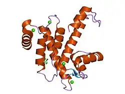 1nx3: Calpain Domain VI in Complex with the Inhibitor PD150606