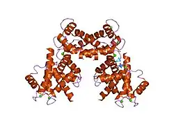 1odb: THE CRYSTAL STRUCTURE OF HUMAN S100A12 - COPPER COMPLEX