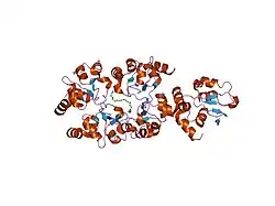 1oxn: Structure and Function Analysis of Peptide Antagonists of Melanoma Inhibitor of Apoptosis (ML-IAP)