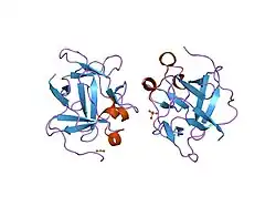 1p63: Human Acidic Fibroblast Growth Factor. 140 Amino Acid Form with Amino Terminal His Tag and Leu111 Replaced with Ile (L111I)