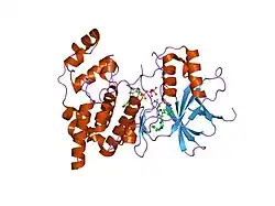 1pmq: The structure of JNK3 in complex with an imidazole-pyrimidine inhibitor