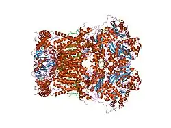 1pp9: Bovine cytochrome bc1 complex with stigmatellin bound