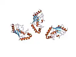 1q34: Crystal structures of two UBC (E2) enzymes of the ubiquitin-conjugating system in Caenorhabditis elegans