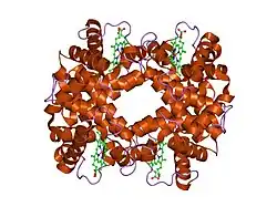 1qi8: DEOXYGENATED STRUCTURE OF A DISTAL POCKET HEMOGLOBIN MUTANT