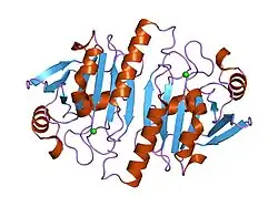 1qq2: CRYSTAL STRUCTURE OF A MAMMALIAN 2-CYS PEROXIREDOXIN, HBP23.