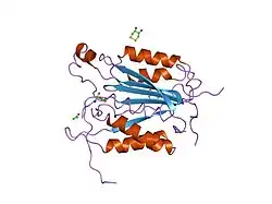 1qtn: CRYSTAL STRUCTURE OF THE COMPLEX OF CASPASE-8 WITH THE TETRAPEPTIDE INHIBITOR ACE-IETD-ALDEHYDE