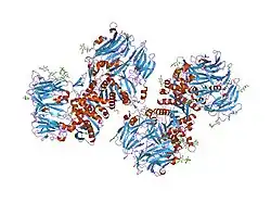 1r9m: Crystal Structure of Human Dipeptidyl Peptidase IV at 2.1 Ang. Resolution.