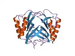 1rhp: CRYSTAL STRUCTURE OF RECOMBINANT HUMAN PLATELET FACTOR 4