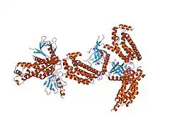 1rj2: Crystal structure of the DH/PH fragment of Dbs without bound GTPase