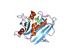 1s3w: Structure Determination of Tetrahydroquinazoline Antifoaltes in Complex with Human and Pneumocystis carinii Dihydrofolate Reductase: Correlations of Enzyme Selectivity and Stereochemistry