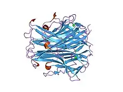 1s55: Mouse RANKL Structure at 1.9A Resolution