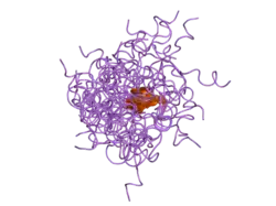 1t0c: Solution Structure of Human Proinsulin C-Peptide