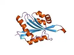 1t3x: Three Crystal Structures of Human Coactosin-like Protein