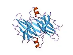 1ttr: TRANSTHYRETIN-V/122/I CARDIOMYOPATHIC MUTANT