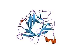 1twm: Interleukin-1 Beta Mutant F146Y