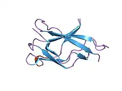 1u3j: Crystal structure of MLAV mutant of dimerisation domain of NF-kB p50 transcription factor