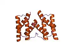 1ufi: Crystal structure of the dimerization domain of human CENP-B