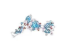 1uj3: Crystal structure of a humanized Fab fragment of anti-tissue-factor antibody in complex with tissue factor