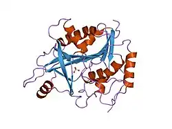 1ula: Application of crystallographic and modeling methods in the design of purine nucleoside phosphorylase inhibitors