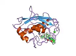 1umt: STROMELYSIN-1 CATALYTIC DOMAIN WITH HYDROPHOBIC INHIBITOR BOUND, PH 7.0, 32OC, 20 MM CACL2, 15% ACETONITRILE; NMR AVERAGE OF 20 STRUCTURES MINIMIZED WITH RESTRAINTS