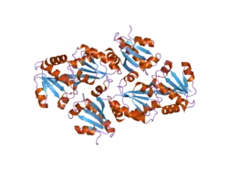1w4v: STRUCTURE OF THE OXIDISED FORM OF HUMAN THIOREDOXIN 2