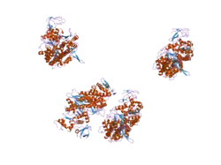 1w8j: CRYSTAL STRUCTURE OF MYOSIN V MOTOR DOMAIN -NUCLEOTIDE-FREE
