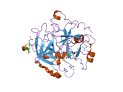 1wbg: ACTIVE SITE THROMBIN INHIBITORS