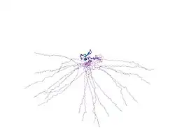 1wgs: Solution Structure of the Tudor Domain from Mouse Hypothetical Protein Homologous to Histone Acetyltransferase