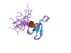 1wr7: Solution structure of the third WW domain of Nedd4-2