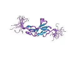 1x5l: Solution structure of the second fn3 domain of Eph receptor A8 protein