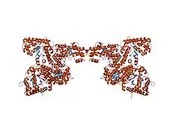 1xdl: Structure of human aldolase B associated with hereditary fructose intolerance (A149P), at 277K