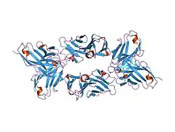 1xiw: Crystal structure of human CD3-e/d dimer in complex with a UCHT1 single-chain antibody fragment