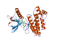 1y6b: Crystal structure of VEGFR2 in complex with a 2-anilino-5-aryl-oxazole inhibitor