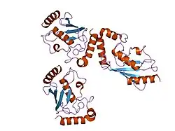 1y6l: Human ubiquitin conjugating enzyme E2E2