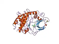 1ydr: STRUCTURE OF CAMP-DEPENDENT PROTEIN KINASE, ALPHA-CATALYTIC SUBUNIT IN COMPLEX WITH H7 PROTEIN KINASE INHIBITOR 1-(5-ISOQUINOLINESULFONYL)-2-METHYLPIPERAZINE