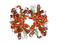 1yen: T-To-T(High) quaternary transitions in human hemoglobin: betaP36A oxy (2MM IHP, 20% PEG) (10 test sets)