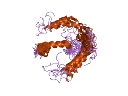 1z9i: A Structural Model for the Membrane-Bound Form of the Juxtamembrane Domain of the Epidermal Growth Factor Receptor
