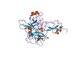 1zjd: Crystal Structure of the Catalytic Domain of Coagulation Factor XI in Complex with Kunitz Protease Inhibitor Domain of Protease Nexin II