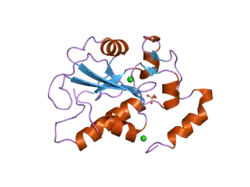 2a2k: Crystal Structure of an active site mutant, C473S, of Cdc25B Phosphatase Catalytic Domain